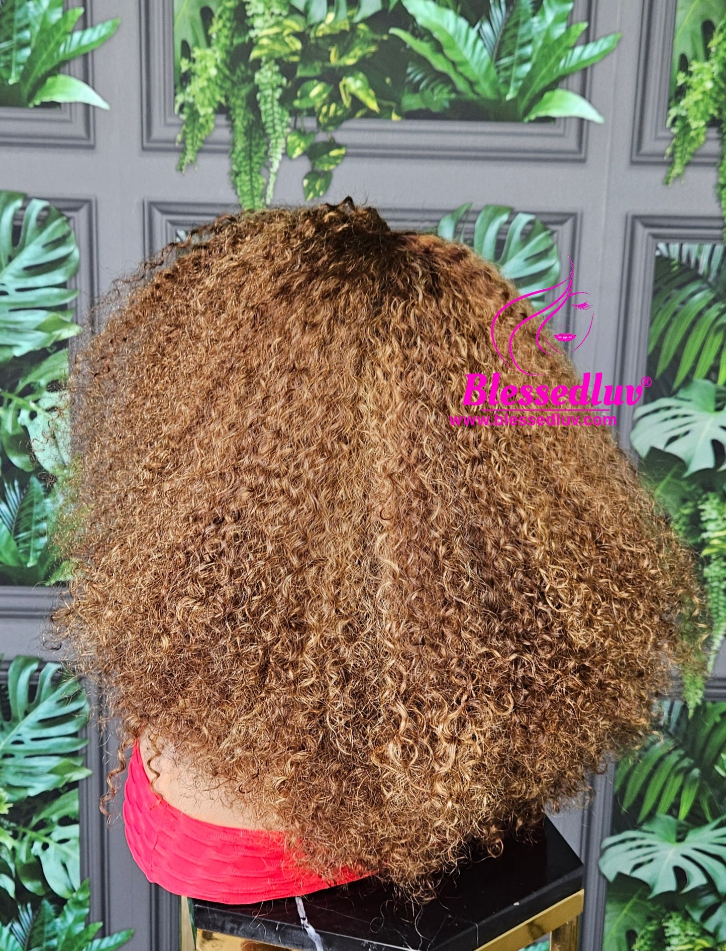 Sade - Luxury 2 -In-1 Afro Curls Lace Closure Wig - Stock-WIG-www.blessedluv.com-Brazilianweave.com