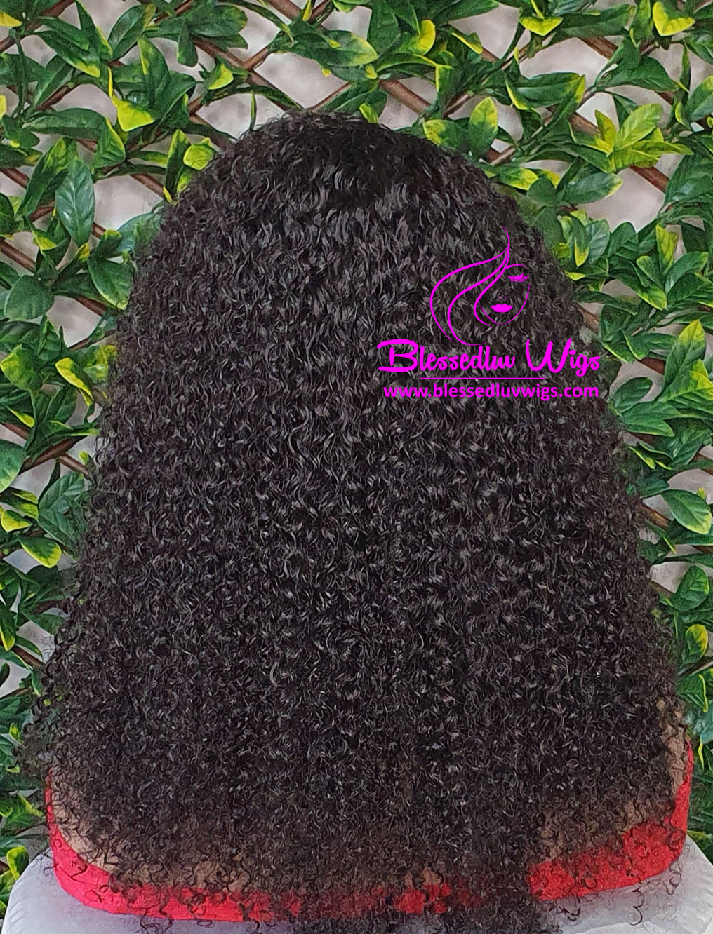 Ayla - Tight Curls Lace Frontal Wig-sold-www.brazilianweave.com-Brazilianweave.com