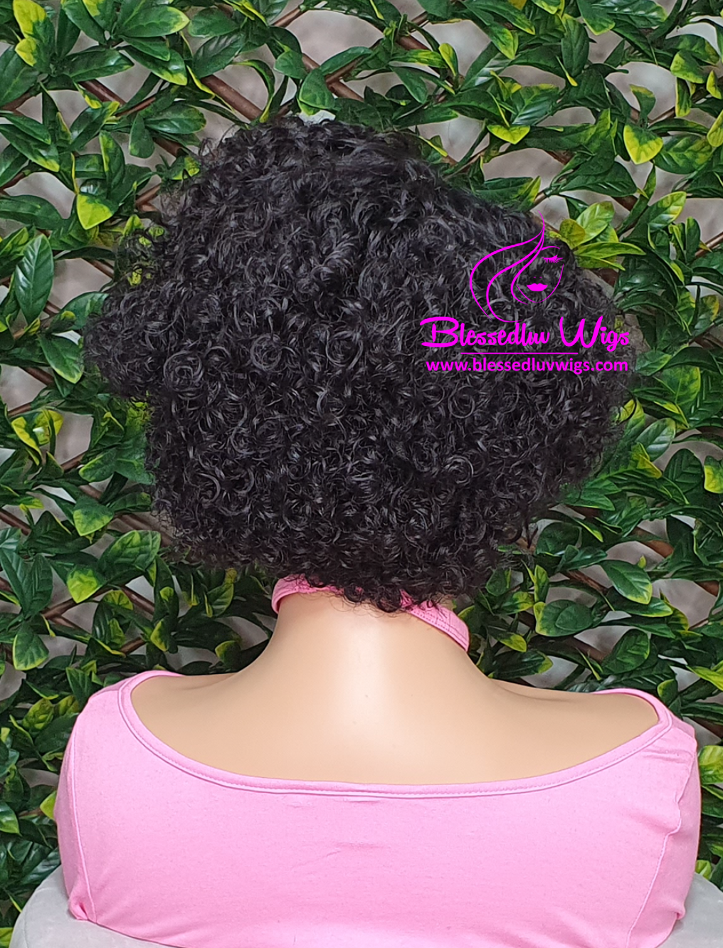 Holly - Pixie 13x 1 Lace Front Wig-www.brazilianweave.com-Brazilianweave.com