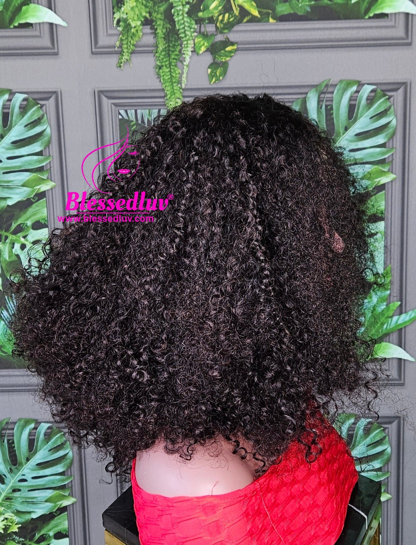 Ngozi - 2 -In-1 Luxury Afro Curls Lace Closure Wig-WIG-www.blessedluv.com-Brazilianweave.com