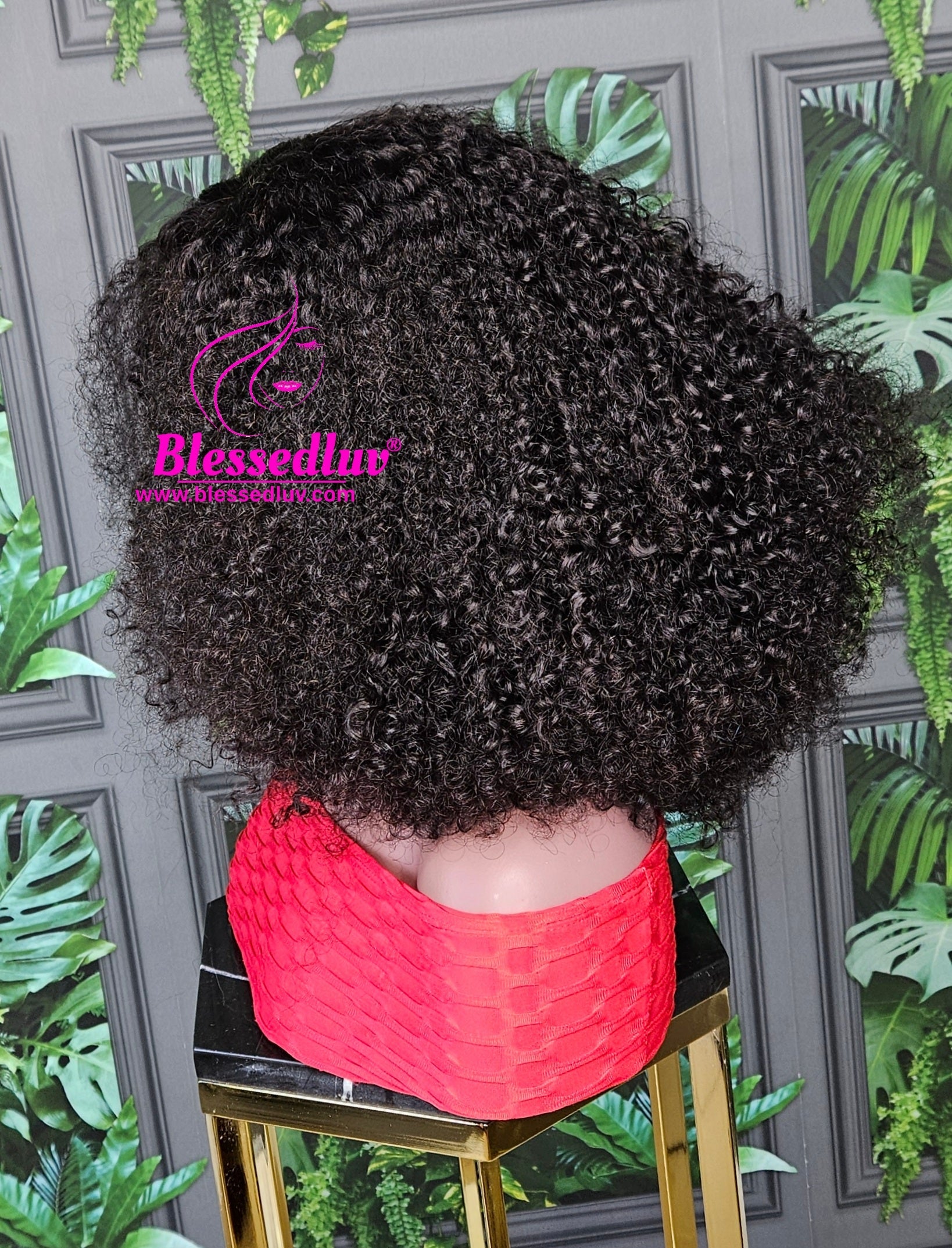 Ngozi - 2 -In-1 Luxury Afro Curls Lace Closure Wig-WIG-www.blessedluv.com-Brazilianweave.com