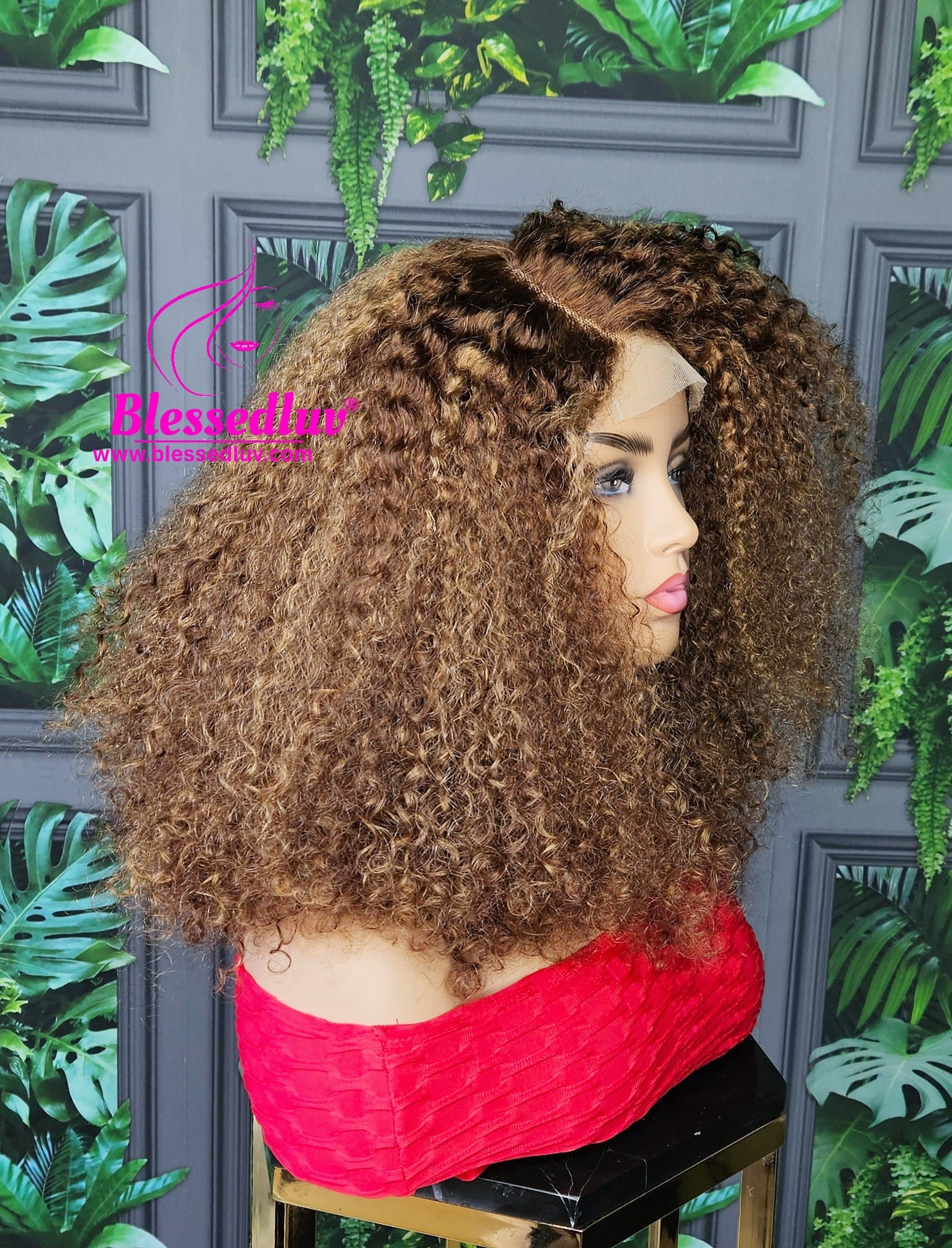 Sade - Luxury 2 -In-1 Afro Curls Lace Closure Wig-WIG-www.blessedluv.com-Brazilianweave.com