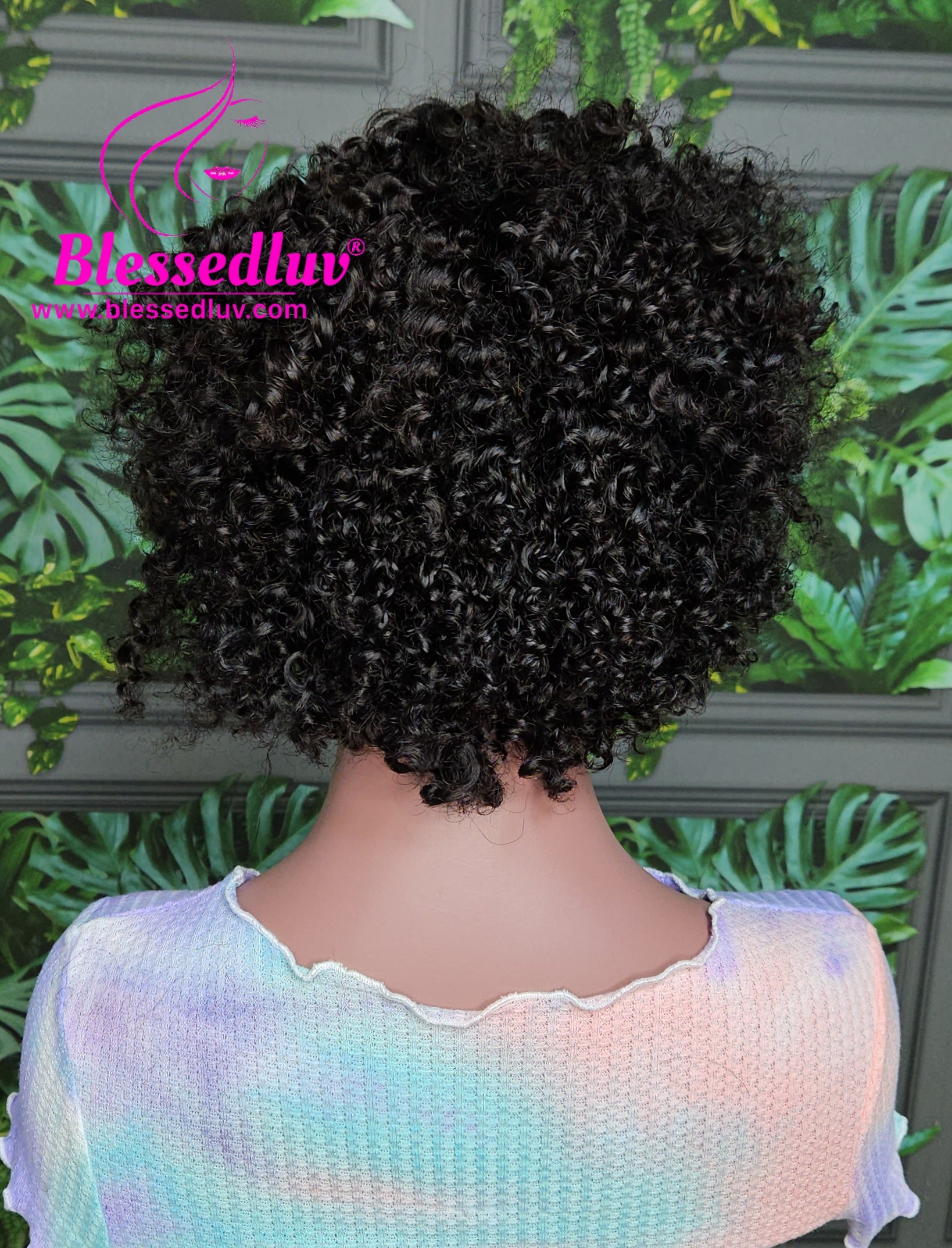 Imami - Braided Glueless Curly Frontal Wig - Affordable Collection - Stock-Wigs-www.blessedluv.com-Brazilianweave.com
